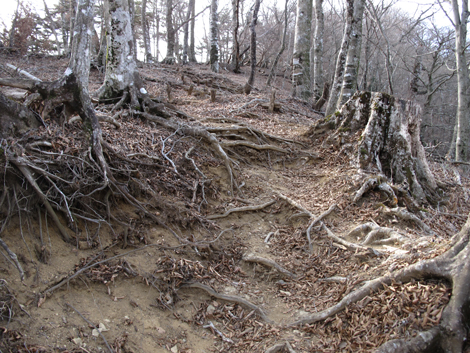 20190108hike (358)